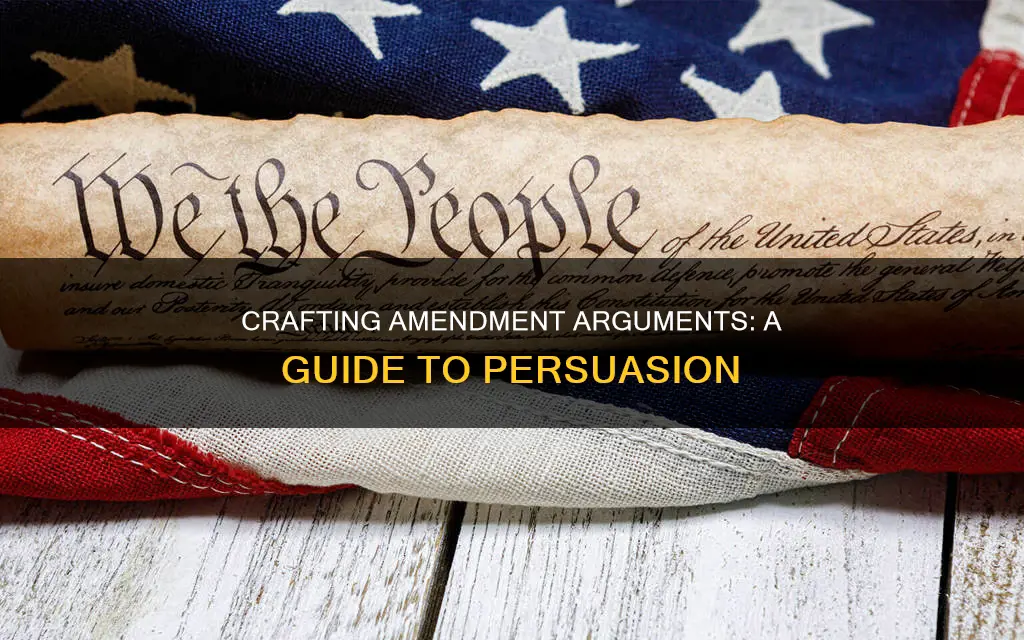 how to write a constitutional amendment argument
