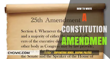 Writing a Constitutional Amendment: A Step-by-Step Guide