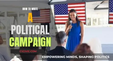 Crafting a Political Campaign: Strategies for Success