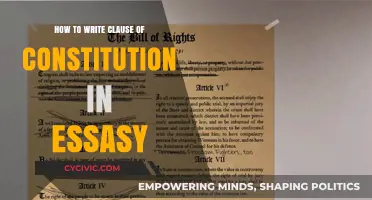 Writing Constitutional Clauses: A Guide