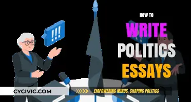 Mastering Political Essay Writing: Essential Tips for Clear, Persuasive Analysis