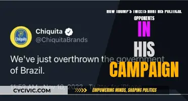 Trump's Tweets: Political Foes' Pain, Campaign Gain