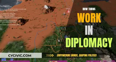 Diplomacy Turns: Strategies for Success