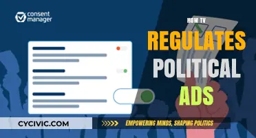 TV's Role in Regulating Political Ads: Fairness, Transparency, and Accountability