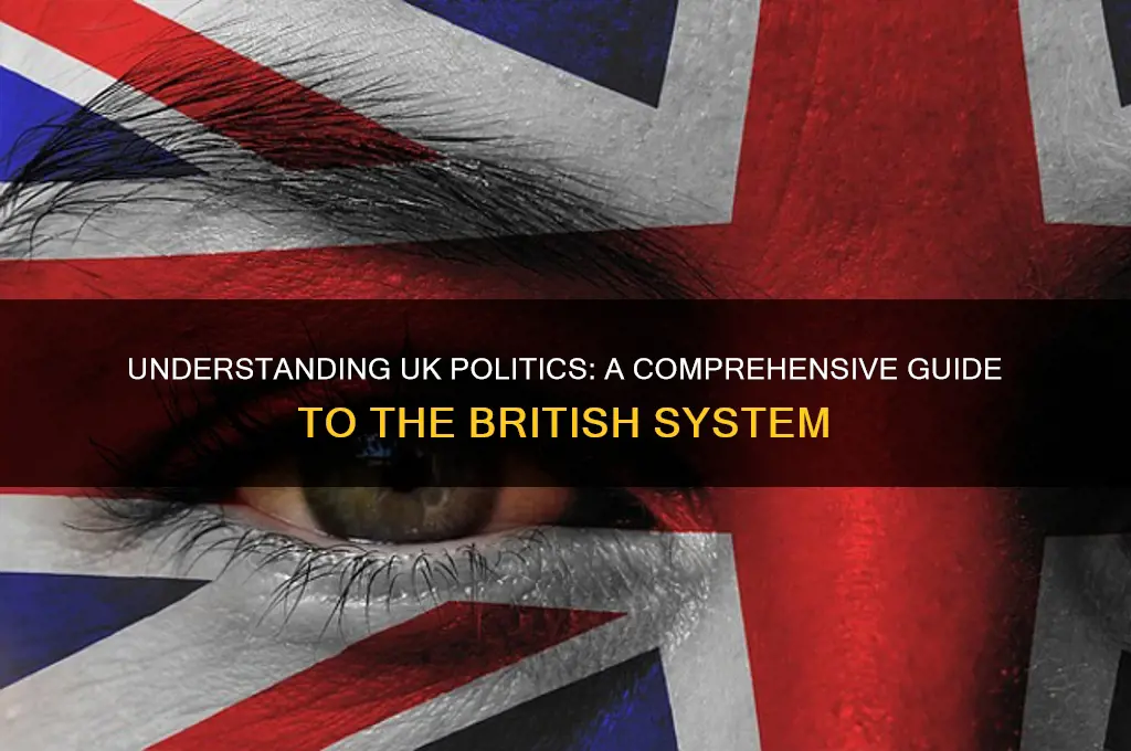 how uk politics works
