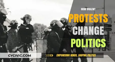 The Impact of Violent Protests on Political Landscapes