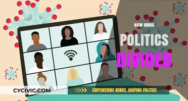 Virus Politics: How Global Pandemics Deepened Societal and Political Divides