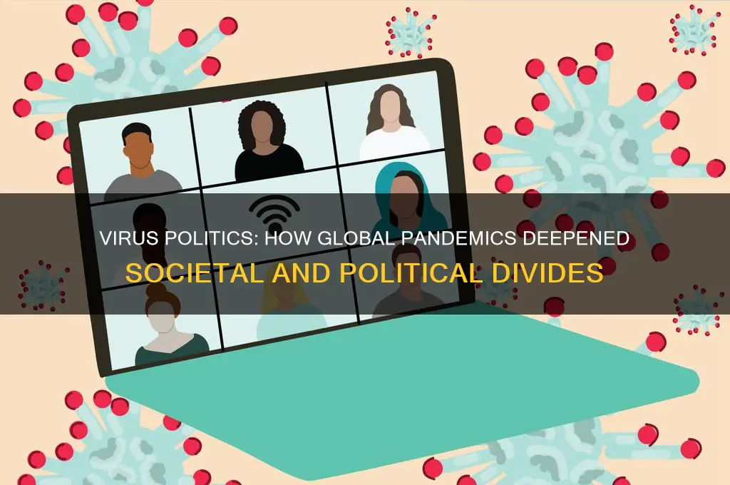 how virus politics divided