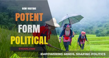 Exploring the Power of Political Tourism: A Potent Force for Change