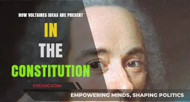 Voltaire's Influence: Constitution's Foundation