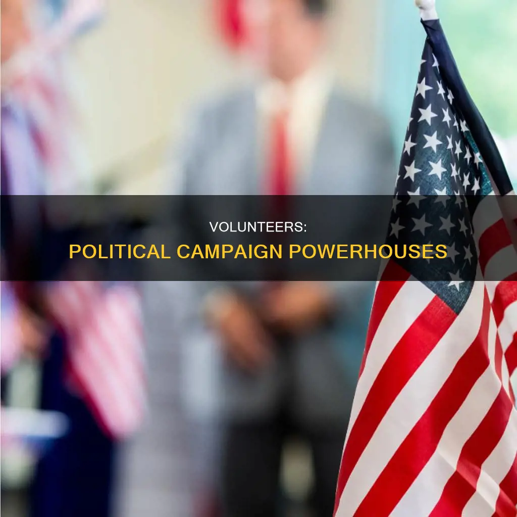 how volunteers can help political campaign
