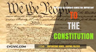 Alexander Hamilton: Constitution's Key Author and Promoter