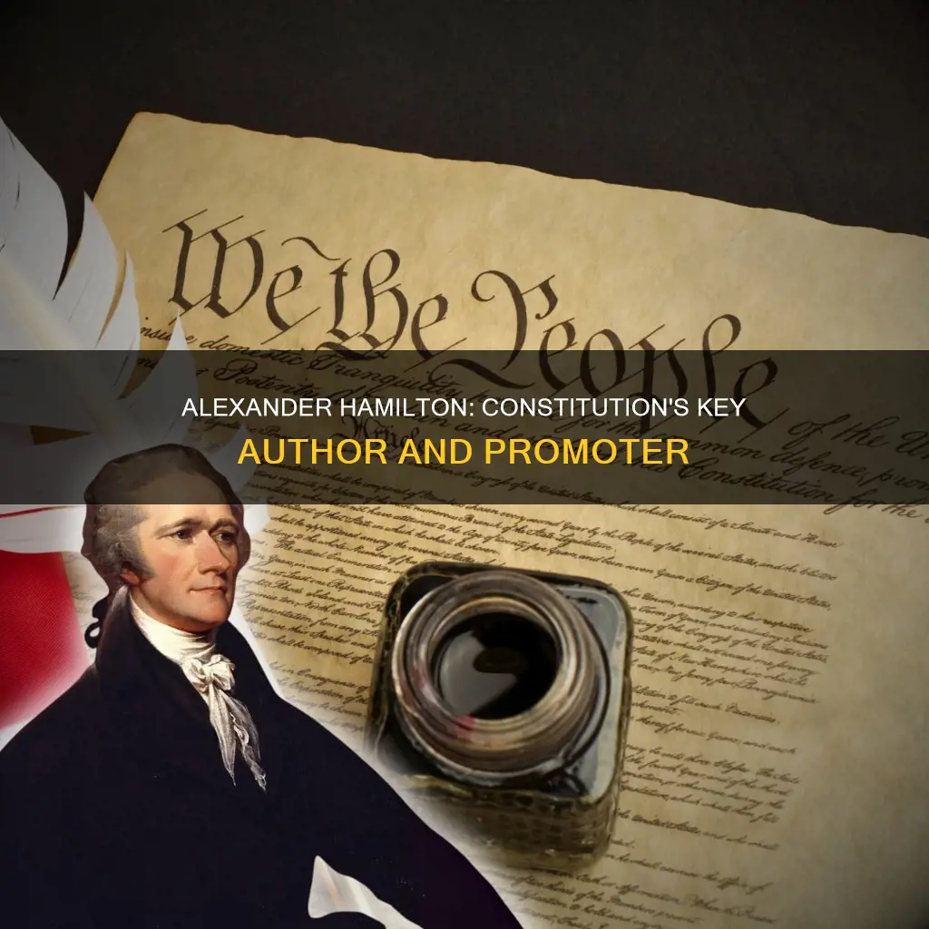 how was alexander hamilton important to the constitution
