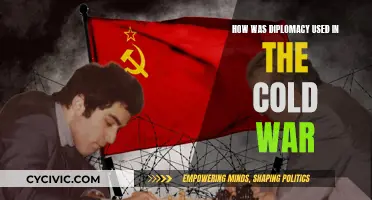 Diplomacy's Role in the Cold War