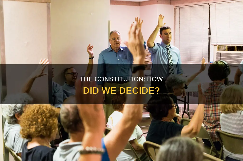 how was it decided what should be in the constitution