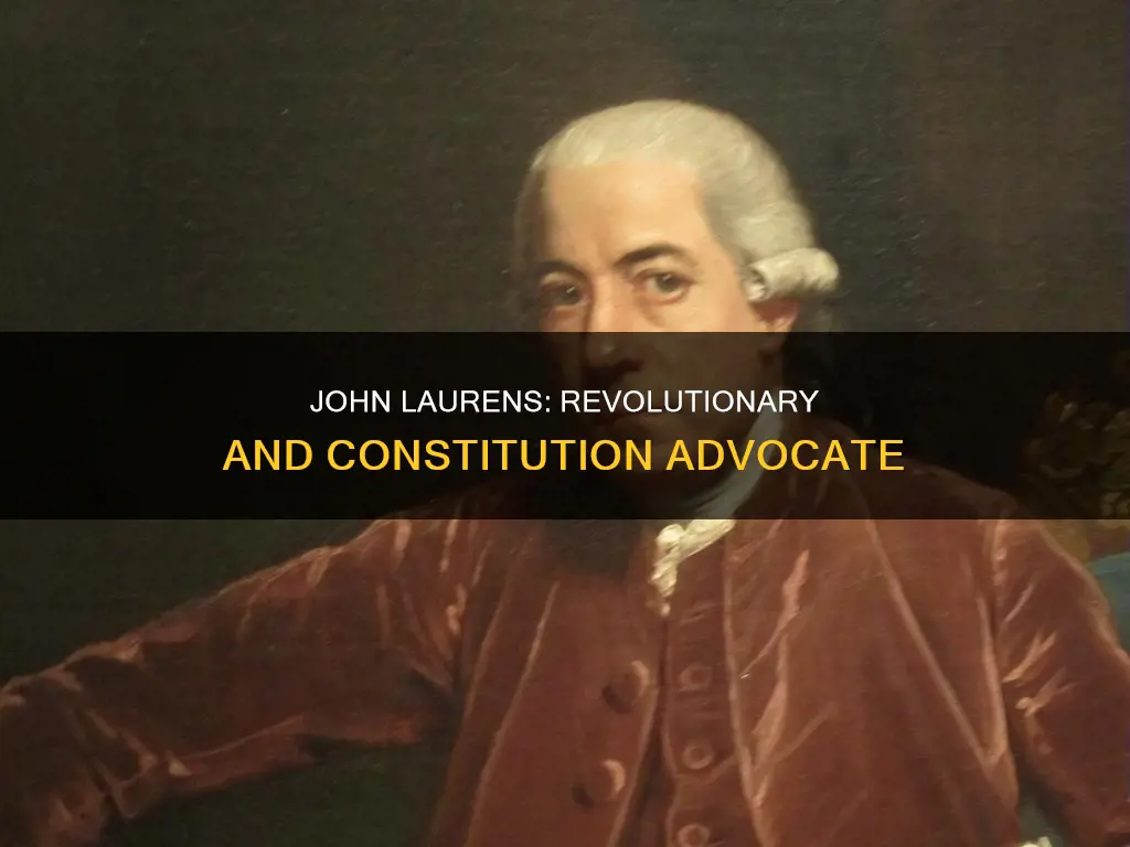 how was john laurens involved with the constitution