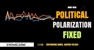 Bridging Divides: Strategies to Heal Political Polarization and Unite Nations