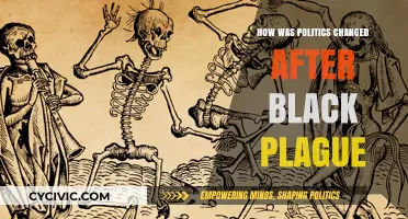 Reshaping Power: The Political Aftermath of the Black Plague