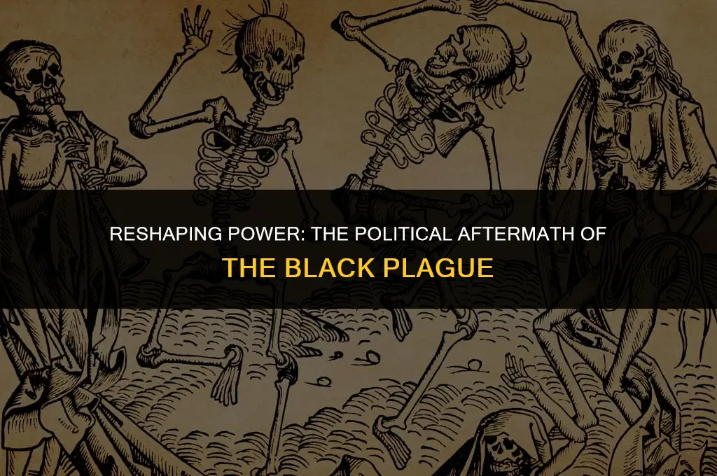 how was politics changed after black plague