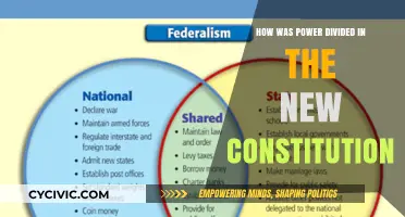 Power Division: The New Constitution's Promise