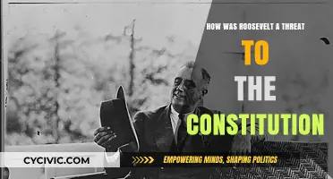 Roosevelt's Executive Power Grab: Threatening Constitutional Balance