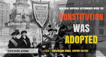Who Could Vote When the Constitution Was Adopted?