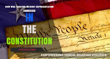 Addressing Taxation: Constitution's Take on Representation
