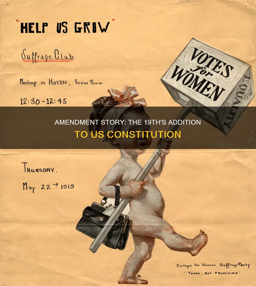 how was the 19th amendment added to the constitution