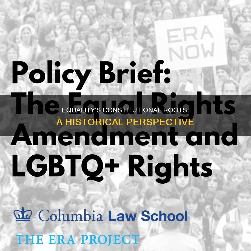 how was the concept of equality introduced into the constitution