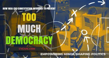 Preventing Excess Democracy: The Constitution's Intent