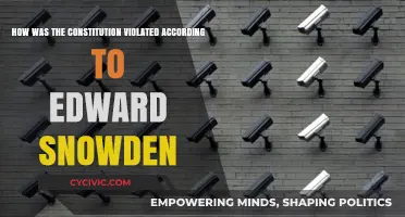 Snowden's Exposé: Constitution Violated by Surveillance Programs