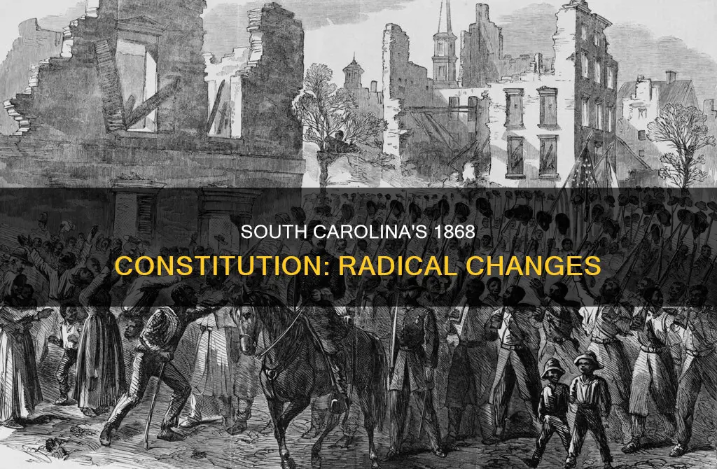 how was the south carolina constitution of 1868 different