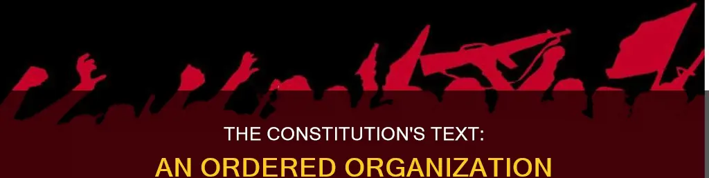 how was the text of the constitution organized