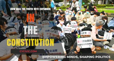 Expanding Youth Voting Rights: Constitutional Amendments