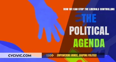 Reclaiming the Narrative: Strategies to Counter Liberal Political Dominance