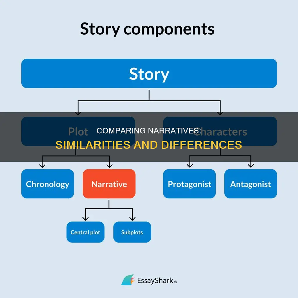 how well a narrative compares to other similar narratives constitutes