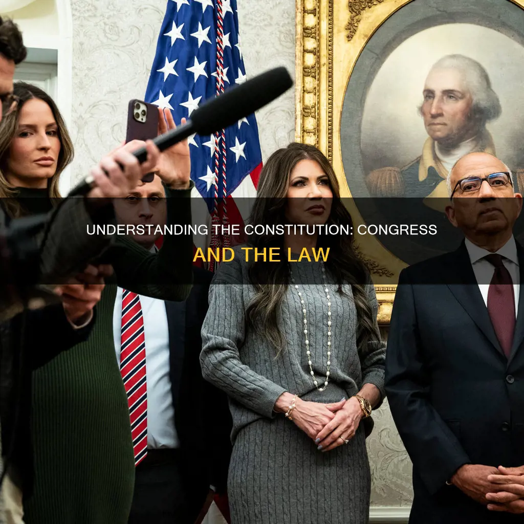 how well do congressmen understand the us constitution