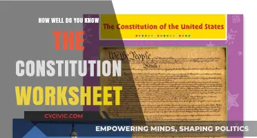 Exploring the Constitution: Worksheet Challenge