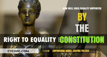 Equality: A Constitutional Right or a Distant Dream?