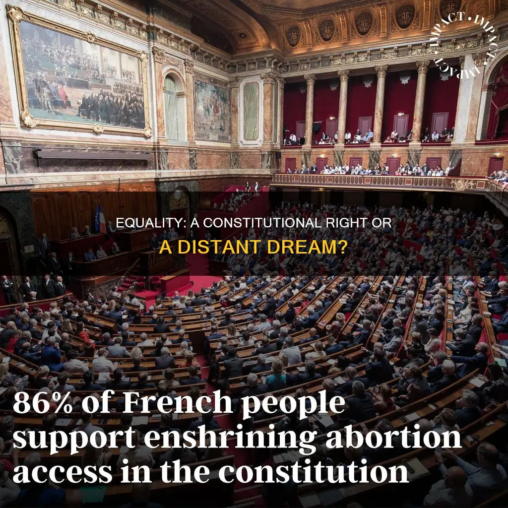 how well does equality supported by the constitution