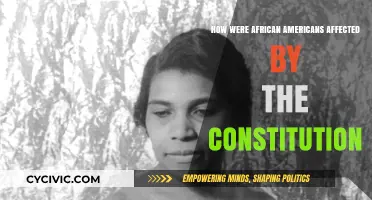The Constitution's Impact on African Americans