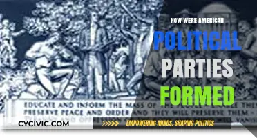 The Evolution of American Political Parties: A Historical Formation