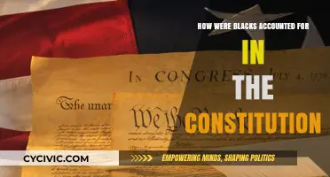 The Constitution's Dark Legacy: Counting Black Americans