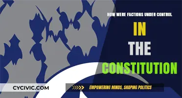 Controlling Factions: The Constitution's Solution
