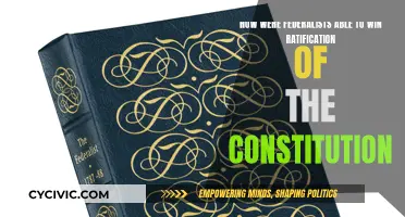 Federalists' Strategies for Constitution Ratification: A Historical Analysis