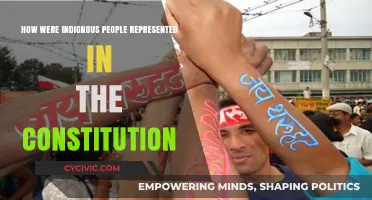Indigenous Representation: The Constitution's True Intent