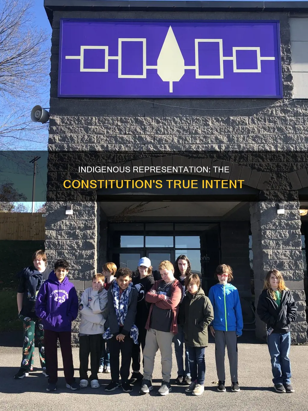 how were indignous people represented in the constitution