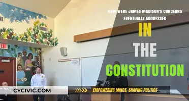 Madison's Concerns: The Constitution's Checks and Balances