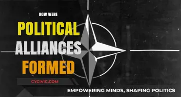 Forging Political Alliances: Strategies, Interests, and Historical Dynamics Explained