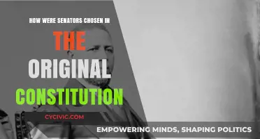 The Original Constitution: Choosing Senators